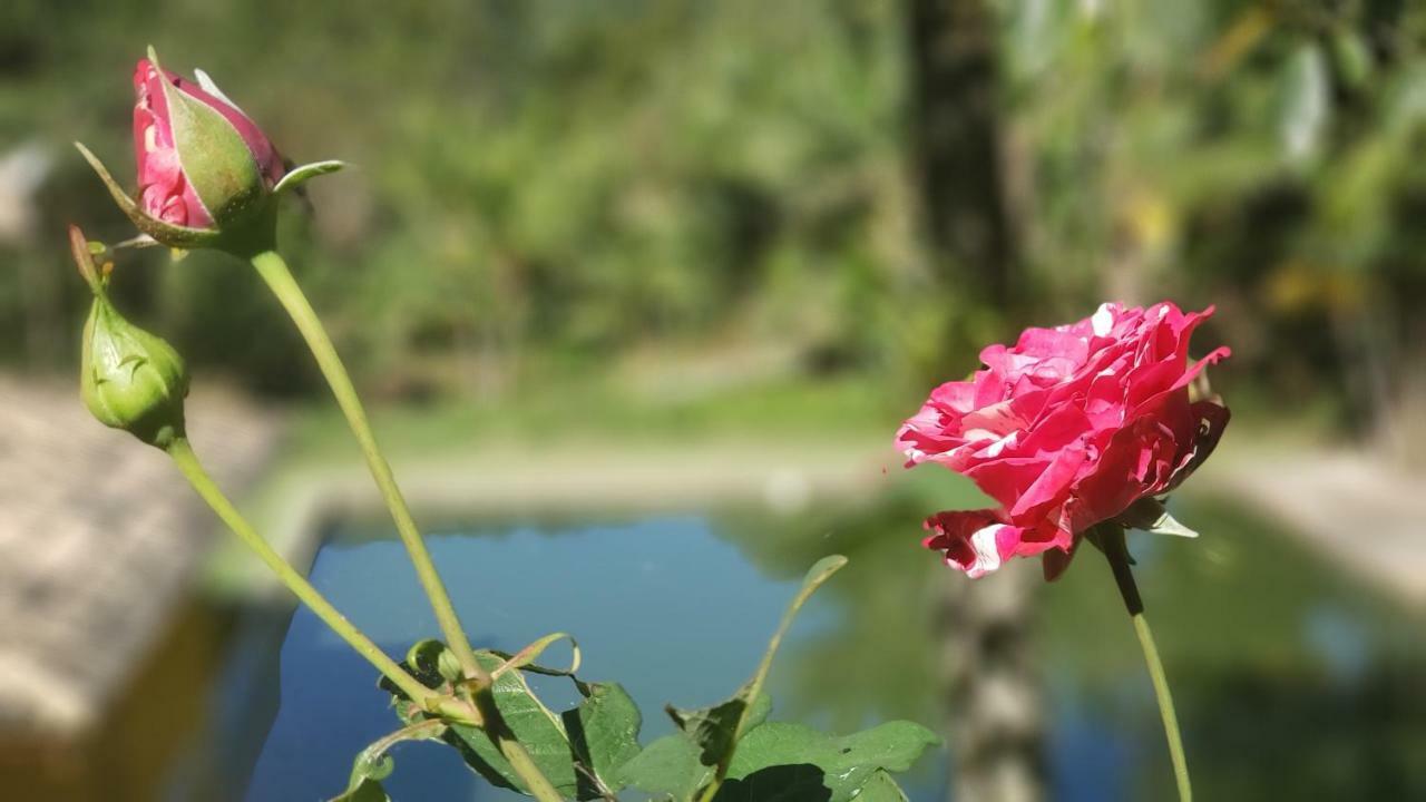 Recanto Luamar Pousada Sana Dış mekan fotoğraf