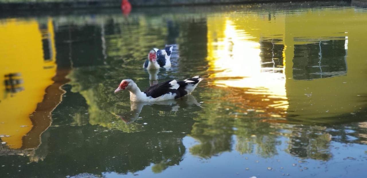 Recanto Luamar Pousada Sana Dış mekan fotoğraf